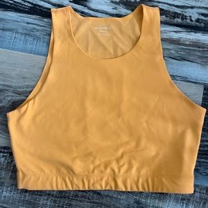 Fitted REI crop workout top